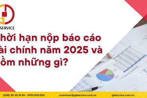 Thời hạn nộp báo cáo tài chính năm 2025 và nộp báo cáo tài chính năm 2025 gồm những tài liệu gì?