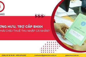 Lương hưu, trợ cấp BHXH có phải chịu thuế thu nhập cá nhân?