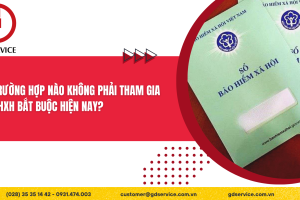 Trường hợp nào không phải tham gia BHXH bắt buộc hiện nay?