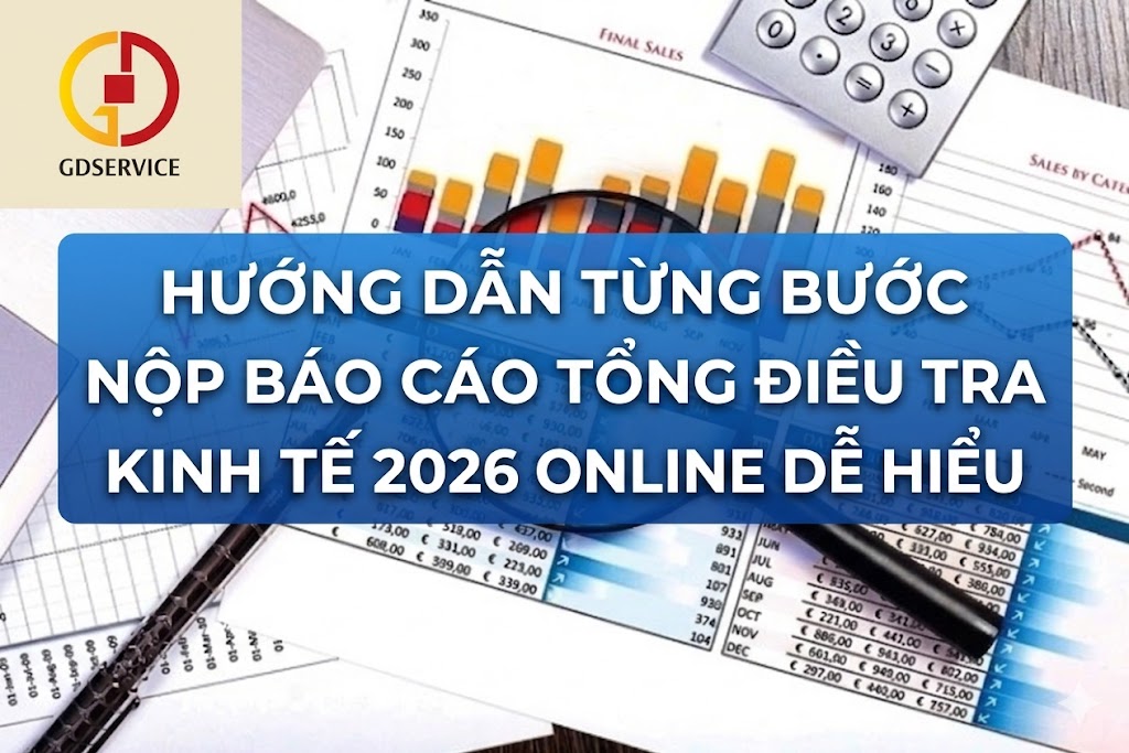 Hướng dẫn từng bước nộp báo cáo Tổng điều tra kinh tế 2026 online dễ hiểu