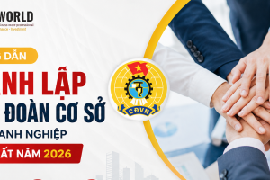 Hướng Dẫn Thành Lập Công Đoàn Cơ Sở Cho Doanh Nghiệp Mới Nhất Năm 2026
